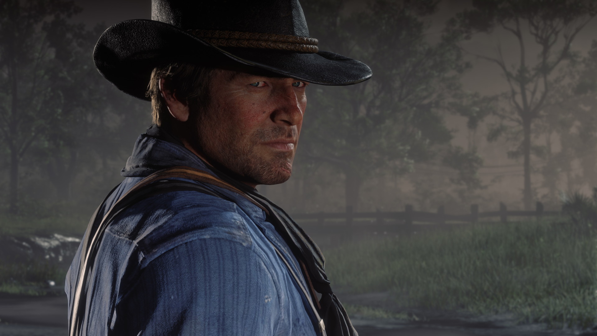 Red Dead Redemption 2 — механики